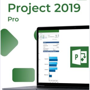 Microsoft Project Professional 2019