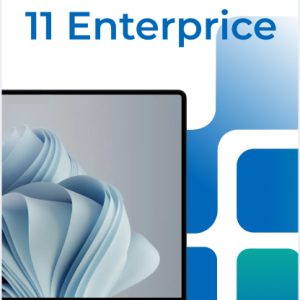 Microsoft Windows 11 Enterprise