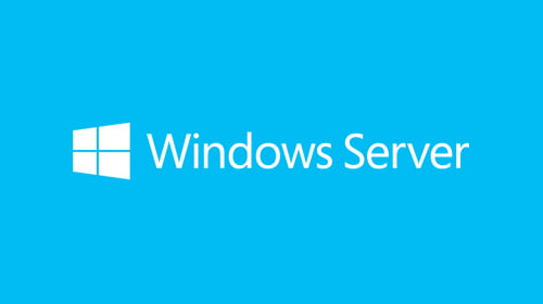Microsoft Windows Server 2019 1 user CAL